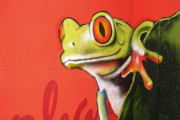 Geckohaus-Graffiti-02-Kaller-150305